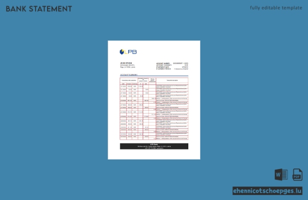 Lettland LPB Kontoauszug Excel.1 Beispielvorschau